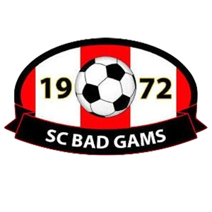 SC Bad Gams